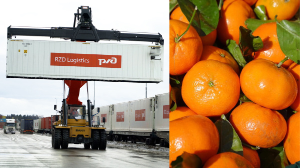RZD Logistics is expanding the range of food items delivered by Agroexpress