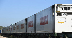 RZD Logistics launched the railway delivery of pork meat to central China