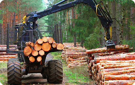 木材和木材加工行业